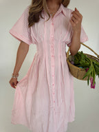 Woman wearing a pink and white striped dress holding a basket of flowers against a plain background